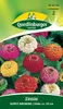Quedlinburger Zinnien Lilliput Mischung - Blumensamen Produktbild-Vorschau 3
