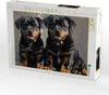CALVENDO Puzzle Majestätische Rottweiler - Voller Kraft und Produktbild-Vorschau 2