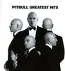 A group of Pitbulls in tuxedos, with the text "PITBULL GREATEST HITS" at the top. Produktbild-Vorschau