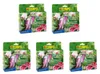 COMPO Orchideen-Aufbaukur 750 ml Produktbild-Vorschau 1