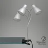 LED Klemmleuchte 3W 160 lm 3000 K H 26,5 cm titanfarben Produktbild-Vorschau 3