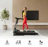 Zipro Pulse elektrinis bėgimo takelis Anteprima dell’immagine prodotto 19