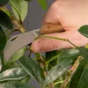 Coffret outils d'élagage pour jardin Voir les images du produit 4