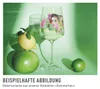 Sklenice na aperitiv Ritzenhoff Summer Dew Hugo 011 Náhled obrázku produktu 12