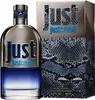Roberto Cavalli Just Cavalli Him 2013 Eau De Toilette 90 ml Produktbild-Vorschau 11