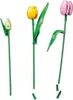 LEGO BOTANICALS 11501 Bouquet de tulipes Voir les images du produit 19