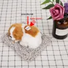 Simulazione di cucciolo di cane addormentato - Ornamento - Anteprima dell’immagine prodotto 2