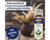 belton free Lackspray AQUAcolours 400 ml schokobraun matt Produktbild-Vorschau 9