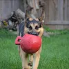 Jolly Ball piłka do zabawy dla koni lub psów - 25 cm Podgląd zdjęcia produktu 3