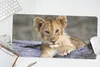 MuchoWow® Mauspad Mousepad Jungtier - Tier - Natur 60x30 cm Produktbild-Vorschau 5