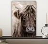 MuchoWow® - Leinwandbilder - Schottischer Highlander - Produktbild-Vorschau 7