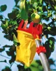WOLF-GARTEN MS-Obstpflücker RG-M mit Gelenk, multistar Produktbild-Vorschau 3