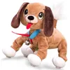 Epee Boogie Dog Troublemaker Kráča s vami Náhľad obrázku produktu 9