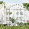 A greenhouse filled with potted plants, set up outdoors against a white wall with ivy growing on it. Voir les images du produit