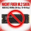 BRAINZAP M.2 M2 NVMe SSD zu PCI-E PCI-Express PCIe 3.0 x1 Produktbild-Vorschau 7