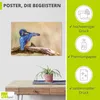 ARTland Poster Eisvogel II Größe: 60x40 cm Produktbild-Vorschau 2