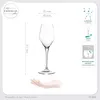 IMPERIAL Sektgläser 170ml Serie "Rom" Set 6-Teilig Produktbild-Vorschau 4