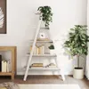 vidaXL Regal mit 5 Böden A-Form 110x40x180,5 cm Massivholz Produktbild-Vorschau 2