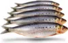 Köderfische Sardinen Groß - Vakuumverpackt | 18-23CM | Produktbild-Vorschau 1