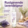 SODASAN Parfum d'ambiance Lavande Recharge 500 ml Voir les images du produit 7