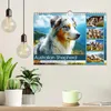 Australian Shepherd. Wanderfreude auf Pfoten im Bergsommer Produktbild-Vorschau 3