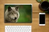 MuchoWow® Laptop Aufkleber Sticker Cover Wolf - Grau - Fell Produktbild-Vorschau 2