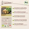 Samenliebe  Kohlrübe Samen | Wilhelmsburger - aromatisch & Produktbild-Vorschau 3