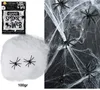 Bílá pavučina s 6 pavouky - HALLOWEEN - 100 g Náhled obrázku produktu 3