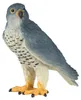 Mojo Fun Peregrine Falcon, 3 lat(a), Wildlife, Niebieski, Podgląd zdjęcia produktu 6