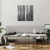 Bilder auf glas - Einteilig - Birken Wald Monochrom - Produktbild-Vorschau 6