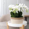Kolibri Orchids | weißes Pflanzenset im Baumwollkorb inkl. Produktbild-Vorschau 3