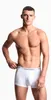 Emporio Armani Boxer Uomo 3 Pack | Tronco Core Logo Band Anteprima dell’immagine prodotto 2