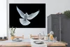 MuchoWow® Poster Taube - Vogel - Schwarz - Weiß - Porträt Produktbild-Vorschau 3