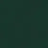 A plain, full-frame shot of a dark green velvet surface. Produktbild-Vorschau
