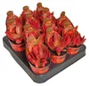 Crassula capitella "Campfire" - plante grasse brûlante - Voir les images du produit 3
