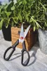 ZWILLING forbici multiuso Twin L 20,5 cm Anteprima dell’immagine prodotto 3