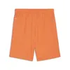 Puma Teamgoal Shorts Herren - Orange Produktbild-Vorschau 2