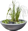 Solar Wassergarten LOTUSGARDEN inkl. Wasserspielpumpe und Produktbild-Vorschau 1