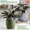 Übertopf Bergamo ø 13 weiss Produktbild-Vorschau 3