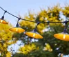 Stringa da 6 m collegabile per esterni con 10 lampadine a Anteprima dell’immagine prodotto 3