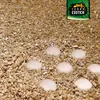 Vermiculite Grob ca. 10 Liter – Hochwertiges Naturmineral Produktbild-Vorschau 7