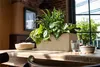 LECHUZA-Pflanzgefäß BALCONERA Stone 50 Sandbeige | Produktbild-Vorschau 13