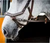 Uzdečka Horseware Micklem II Multi, velikost:Thoroughbred, Náhled obrázku produktu 4
