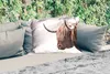MuchoWow® Outdoor Kissen - Schottisches Hochlandrind - Tier Produktbild-Vorschau 2