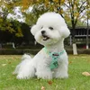 Harnais Chien Réglable Léger Respirant avec Laisse, Anneau Voir les images du produit 3