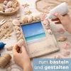 Muschelmix Lagre 1 kg Deko Muscheln und Schnecken zum Produktbild-Vorschau 1