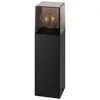 A black outdoor lamp with a clear glass bulb and a smoky gray top. Náhľad obrázku produktu