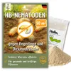 Futeco® – HB-Nematoden gegen Dickmaulrüssler & Engerlinge – Produktbild-Vorschau 1