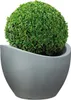 Scheurich Obal 250 Stony Grey 50 cm, světle šedá Náhled obrázku produktu 3