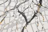 Tapiso Koberec GOLDEN Moderný krátky vlas Grey Golden Náhľad obrázku produktu 3